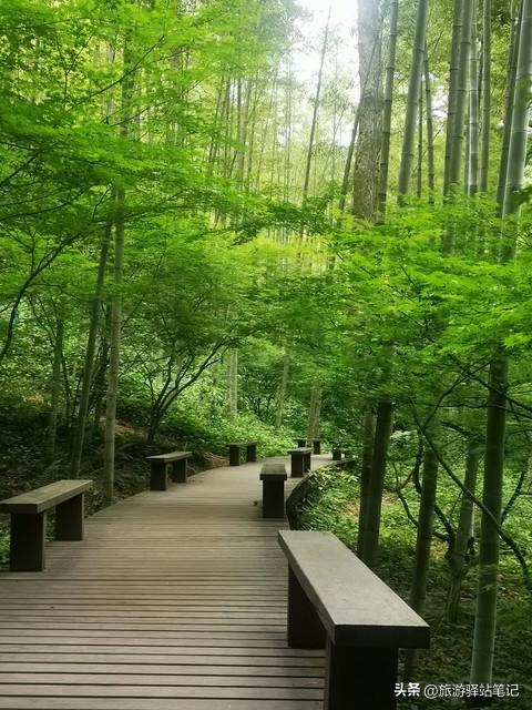 龍井旅游景點哪里好玩_龍井旅游攻略必玩的景點_龍井旅游