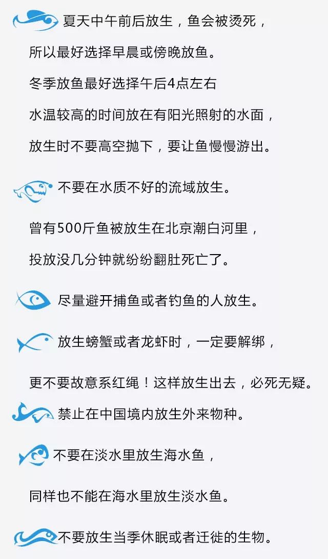 放生觀賞魚好嗎_放生觀賞魚_放生魚奇觀