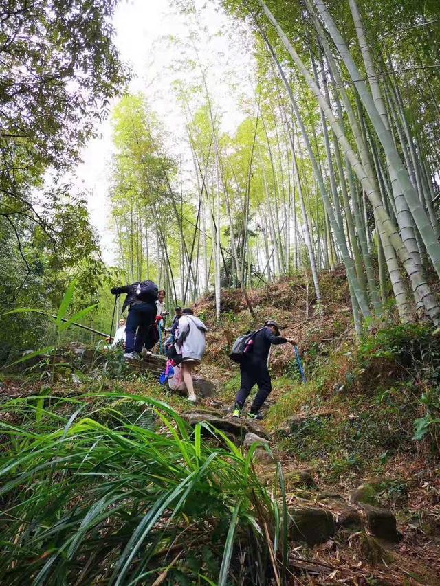 從化溪頭村徒步路線_從化溪頭露營基地_從化溪頭村露營旅游攻略