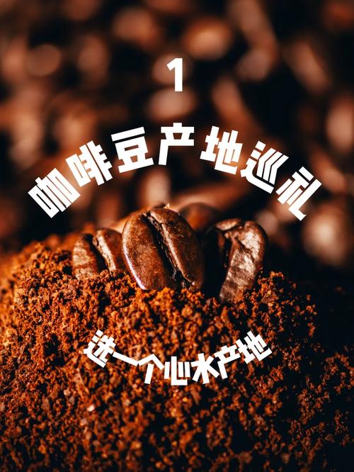 ?？诤姹号嘤柊郷海南烘焙培訓學校_海南烘焙培訓班