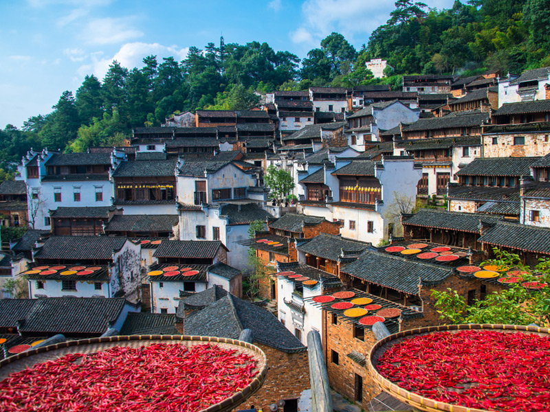 婺源旅游一日攻略_婺源攻略一日游旅游_攻略日游婺源旅游路線